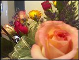 flowers.jpg